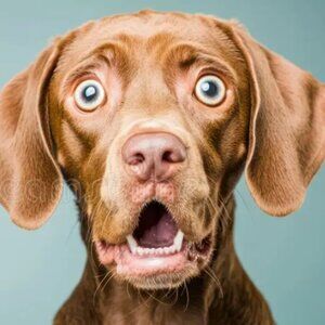 CANCELLED: bundles under $15